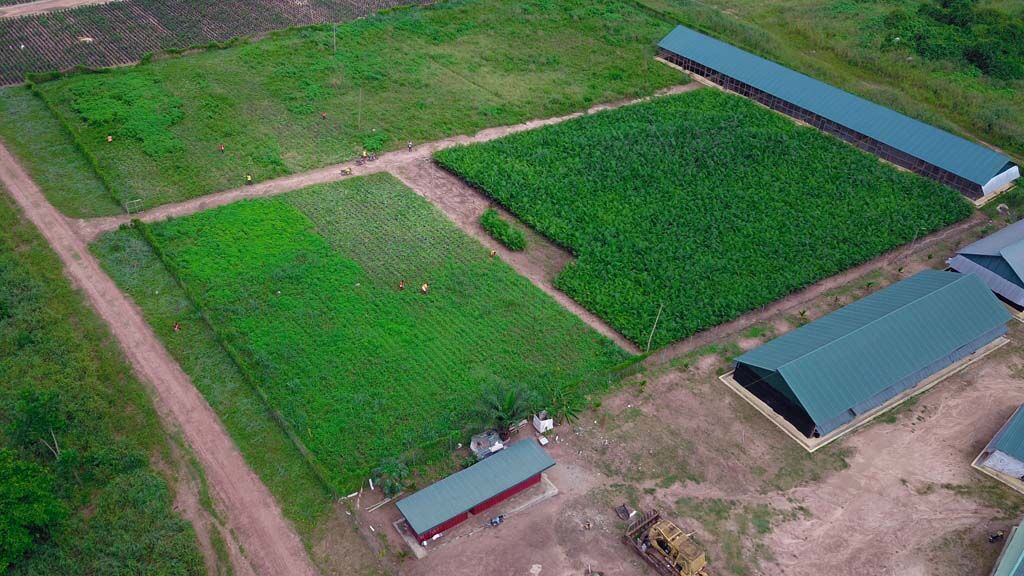 DJI_0069