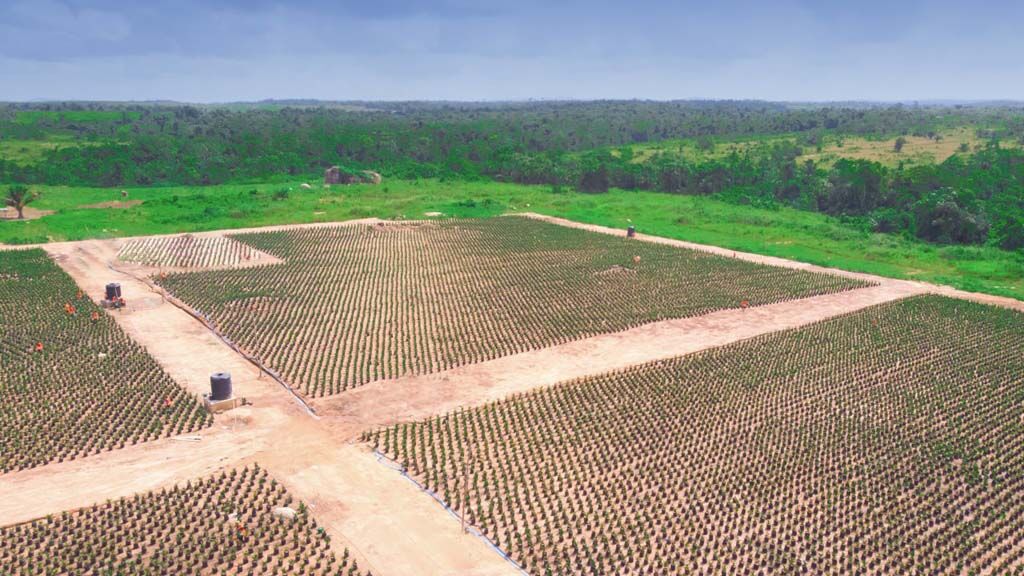 photo_2023-06-16_15-47-56