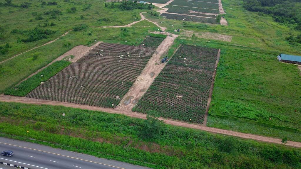 DJI_0077